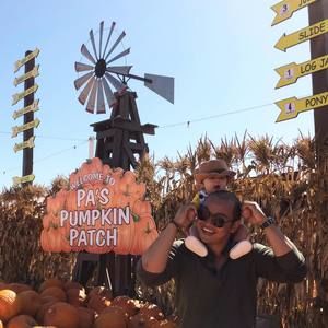 Meet your Posher, Frank